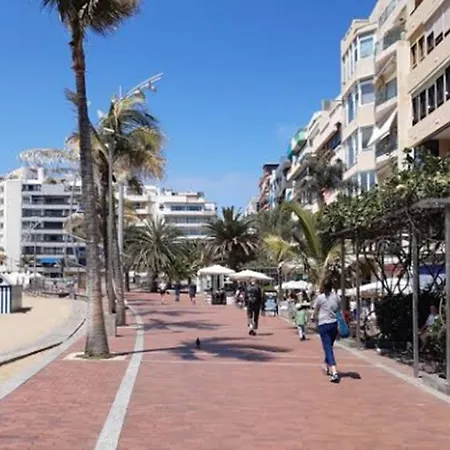 Albareda *