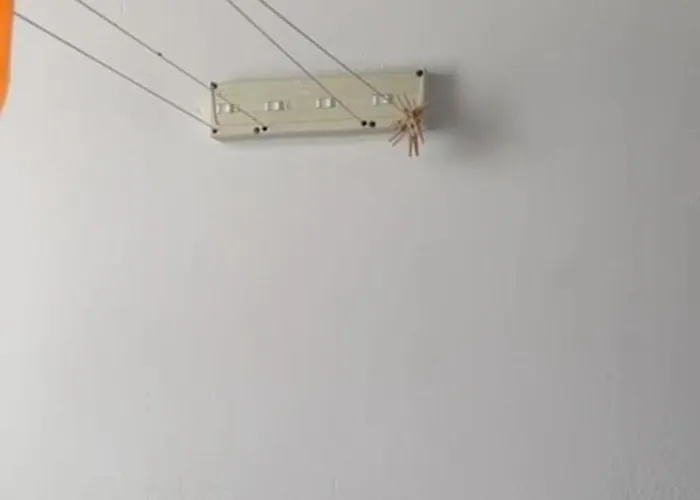 For 4 People Albareda *